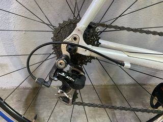 Bicicleta Orbea Asphalt