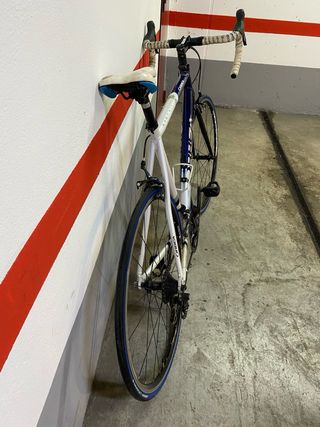 Bicicleta Orbea Asphalt