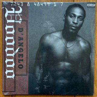 D'Angelo-Voodoo vinilo LP doble Zoetrope limitado