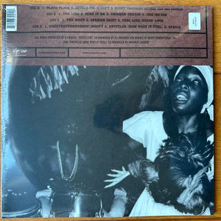 D'Angelo-Voodoo vinilo LP doble Zoetrope limitado