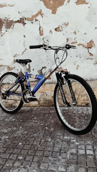 Bicicleta Mountain Bike 24 Quer