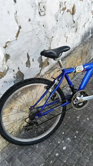 Bicicleta Mountain Bike 24 Quer