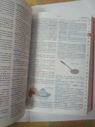 Diccionari Caramull Inicial. Valencià