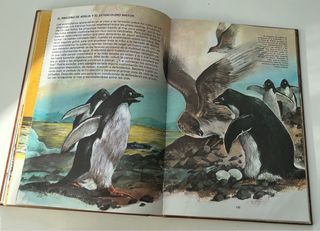 Libro. Mi gran libro de animales. Susaeta