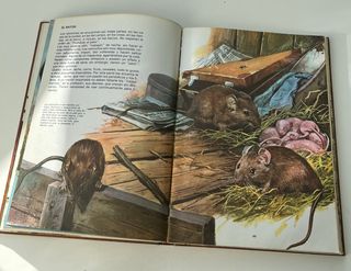 Libro. Mi gran libro de animales. Susaeta