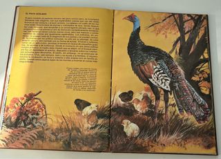 Libro. Mi gran libro de animales. Susaeta