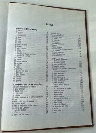 Libro. Mi gran libro de animales. Susaeta