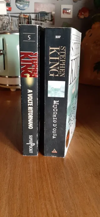 Stephen king 2 libri