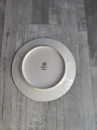 Plato de porcelana Limoges France 25.5cm