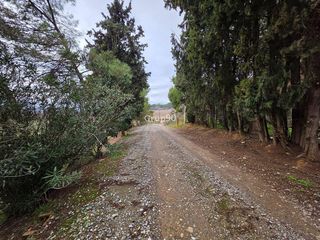 Terreno en venta en Alpicat