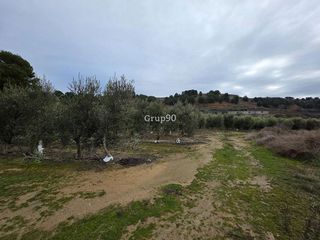Terreno en venta en Alpicat