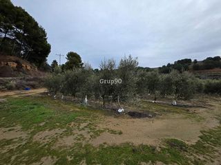 Terreno en venta en Alpicat