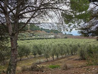 Terreno en venta en Alpicat