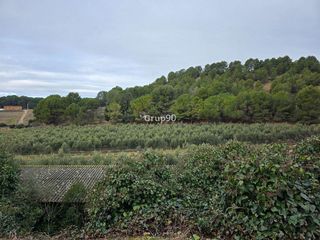 Terreno en venta en Alpicat