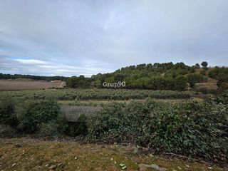 Terreno en venta en Alpicat