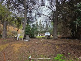 Terreno en venta en Alpicat