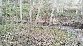 Local comercial en venta en Olleria (l´)