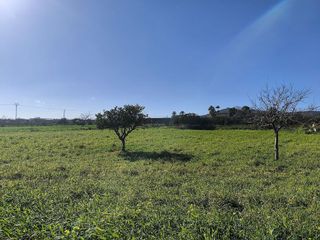 Terreno en venta en Porreres