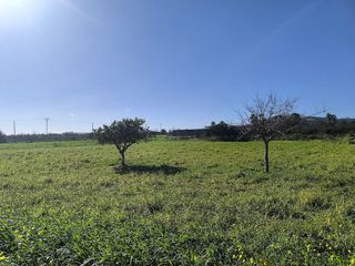Terreno en venta en Porreres