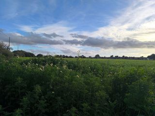 Terreno en venta en Porreres