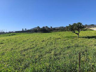 Terreno en venta en Porreres