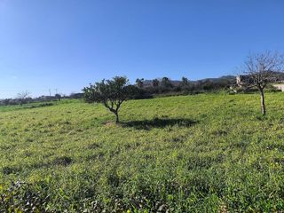 Terreno en venta en Porreres