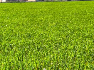 Terreno en venta en Porreres