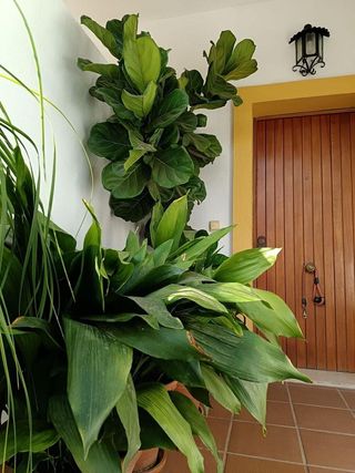 Casa adosada en venta en Centro Urbano en Estepona