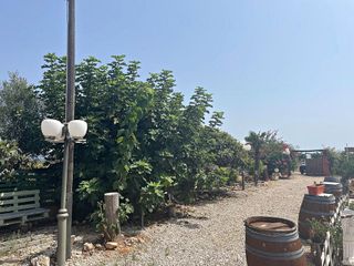 Casa rural en venta en Zona Mar Xica en Benicarló