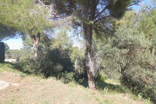 Terreno en venta en Sant Esteve Sesrovires