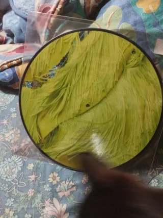 Picture Disc Kylie Minogue I Believe In You