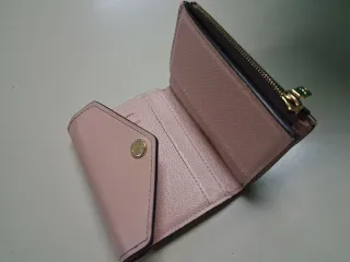 Cartera Zoe Louis Vuitton Rosa y Marrón