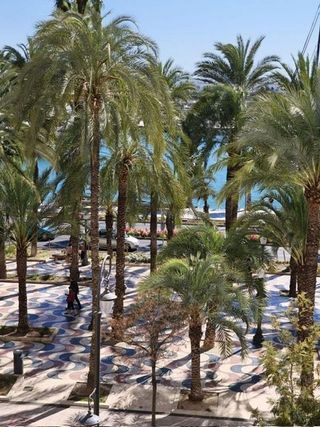 Piso en alquiler en Casco Antiguo - Santa Cruz en Alicante