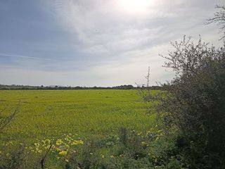 Solar en venta en Campos