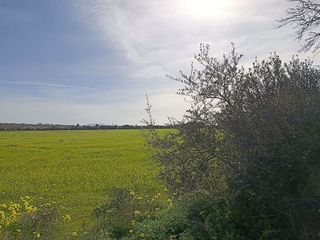 Solar en venta en Campos