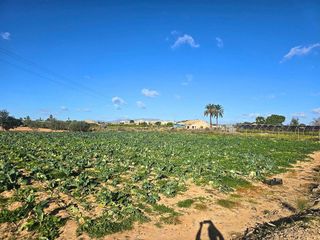 Solar en venta en Las Bayas en Elche