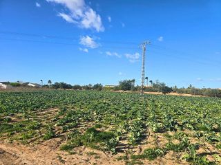 Solar en venta en Las Bayas en Elche