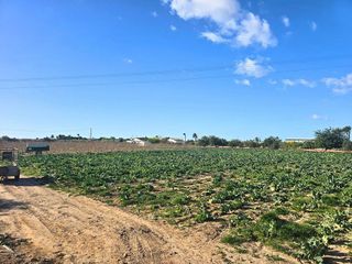 Solar en venta en Las Bayas en Elche