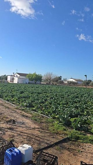 Solar en venta en Las Bayas en Elche