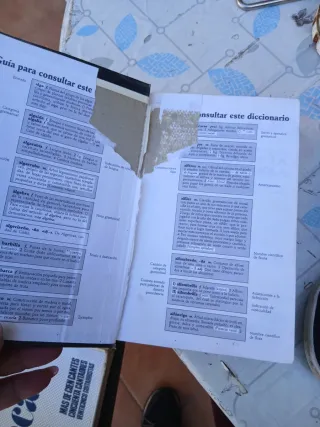 Diccionario Manual Ilustrado De LA Lengua Espan...