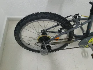 Bicicleta infantil 20 pulgadas