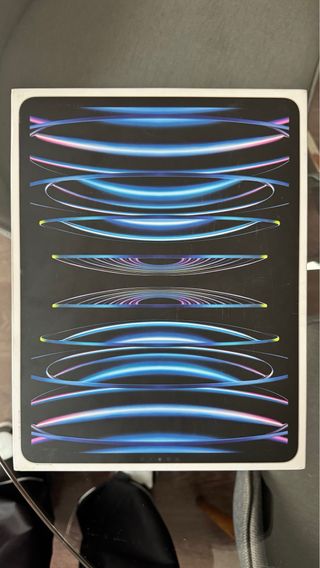 iPad Pro 6ª Gen 12.9 256GB