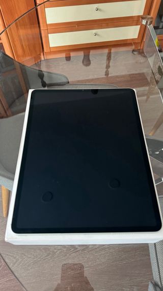 iPad Pro 6ª Gen 12.9 256GB