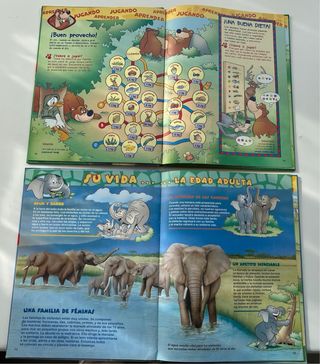 Libros. El maravilloso mundo de los animales. Disn