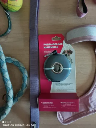 Lote Accesorios Perros: Collar, Correa, Arnés