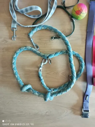 Lote Accesorios Perros: Collar, Correa, Arnés