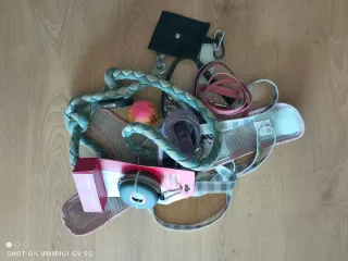 Lote Accesorios Perros: Collar, Correa, Arnés