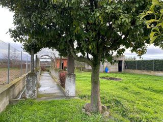 Solar en venta en Patrocinio - Nueva Talavera en Talavera de la Reina