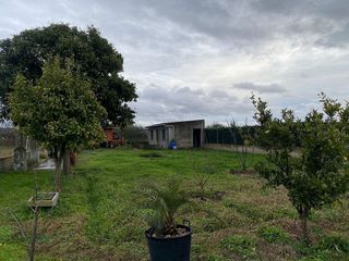 Solar en venta en Patrocinio - Nueva Talavera en Talavera de la Reina