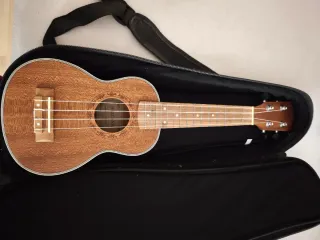 Ukelele Hricane